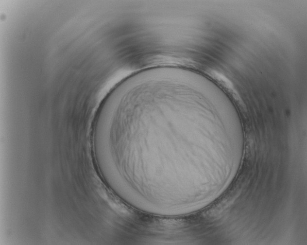 X0000088411427200706191411