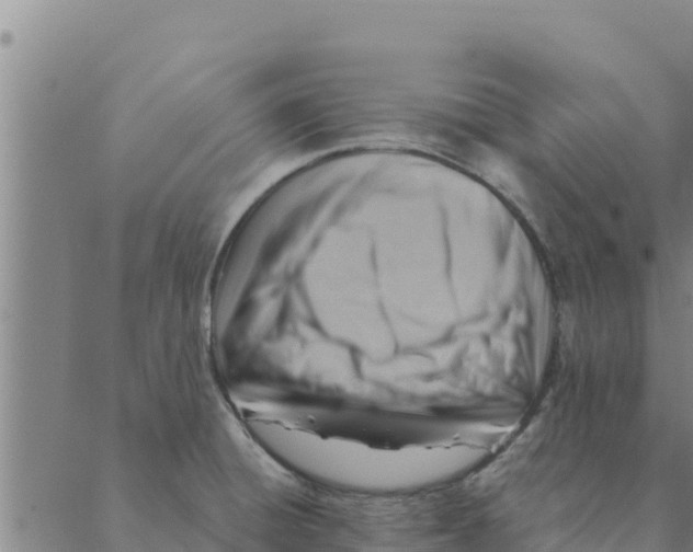 X0000088411428200706191411