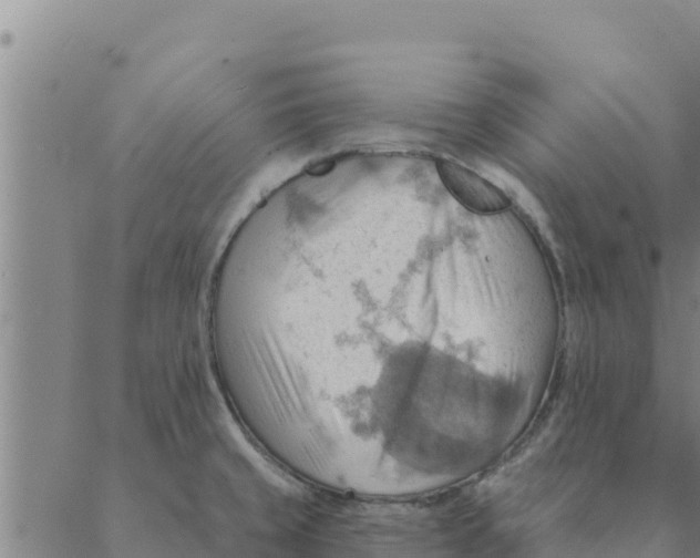 X0000088411429200706191411