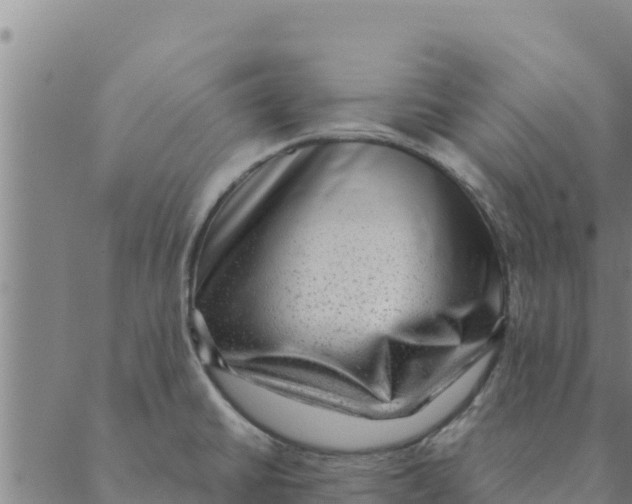 X0000088411430200706191411