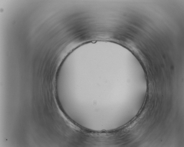 X0000088411432200706191411