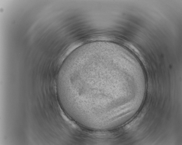 X0000088411433200706191411