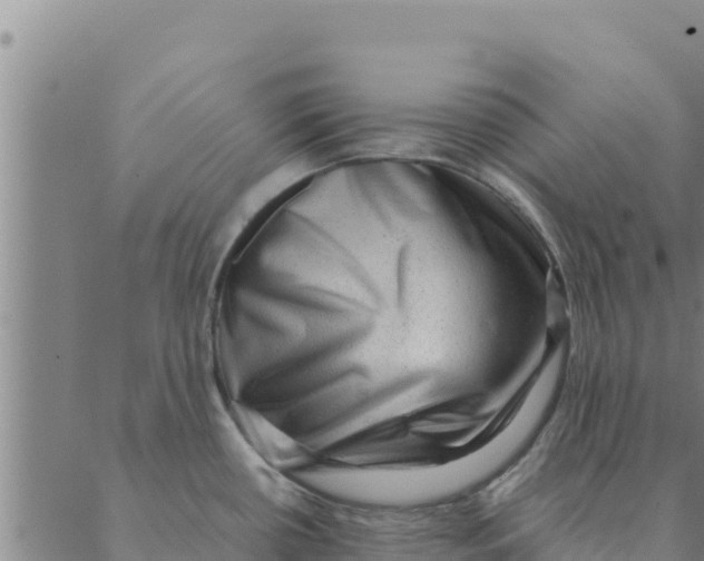 X0000088411434200706191411