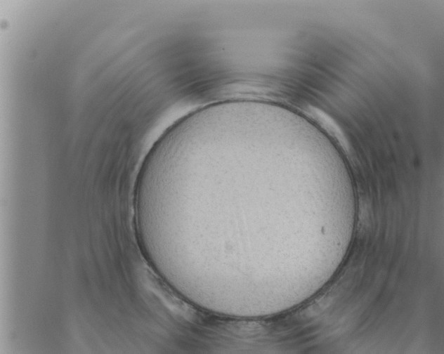 X0000088411435200706191411