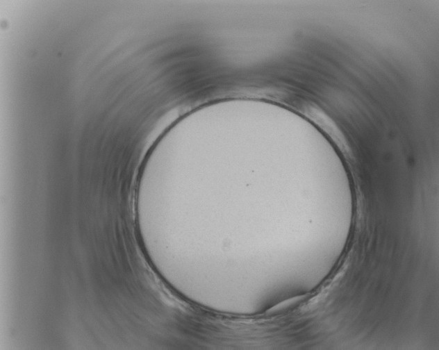 X0000088411436200706191411