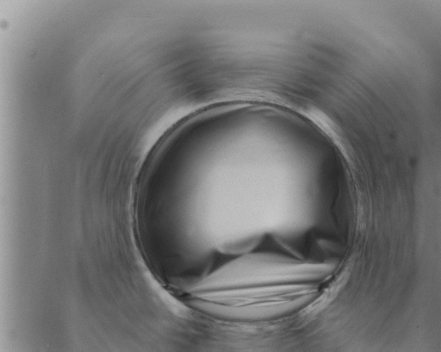 X0000088411438200706191411