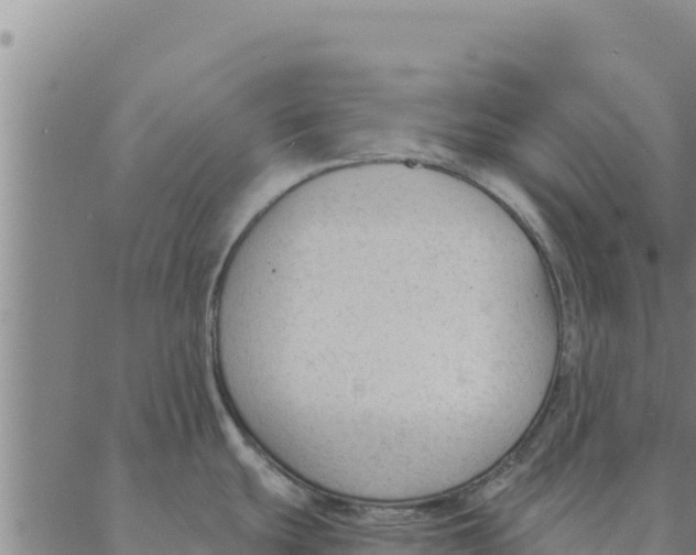 X0000088411439200706191411