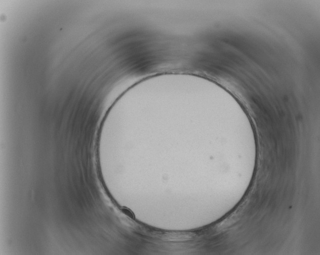 X0000088411440200706191411