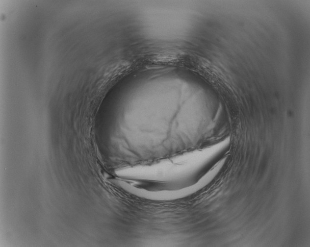 X0000088411441200706191410