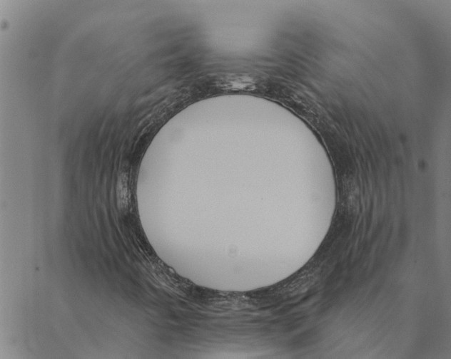 X0000088411442200706191410