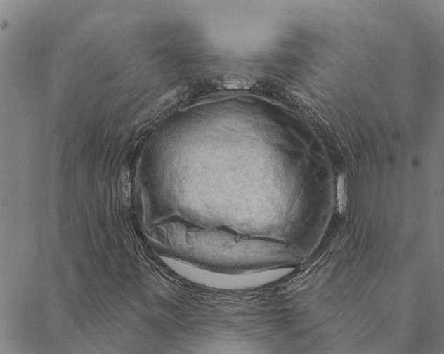 X0000088411443200706191410