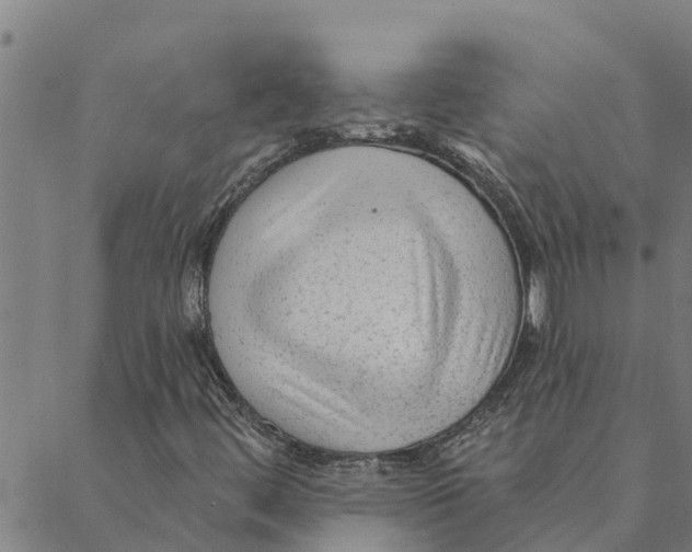 X0000088411444200706191410