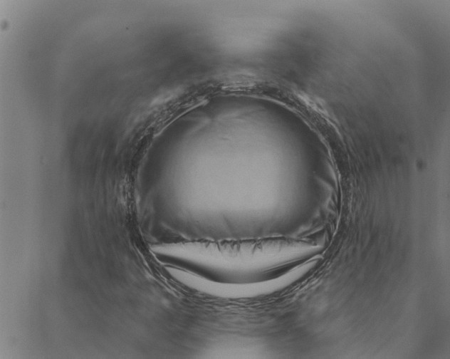 X0000088411445200706191410