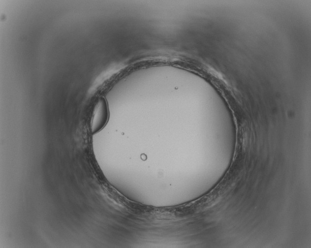 X0000088411448200706191410