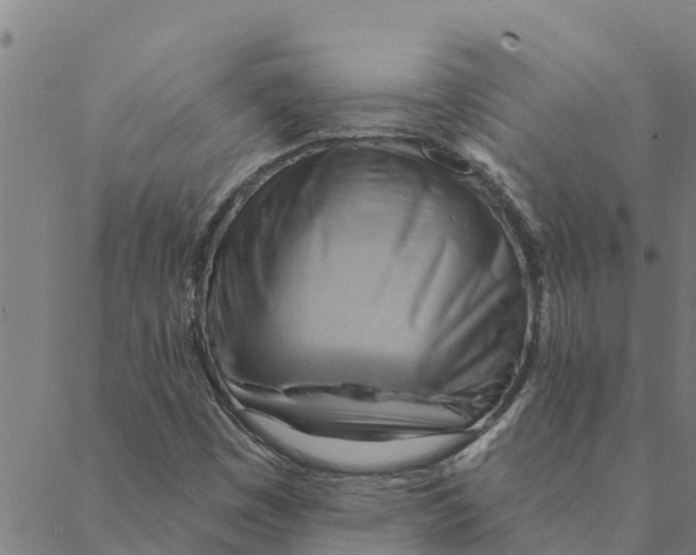 X0000088411449200706191410