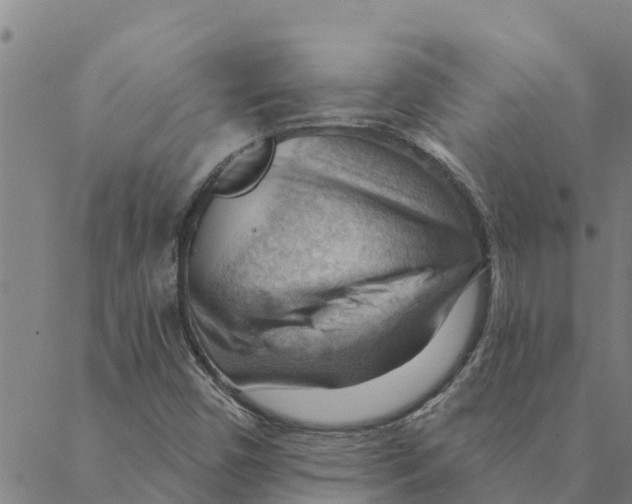 X0000088411450200706191410