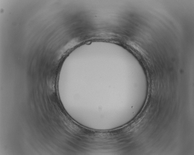 X0000088411451200706191410