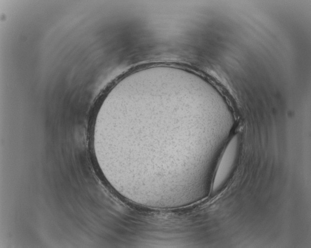 X0000088411452200706191410