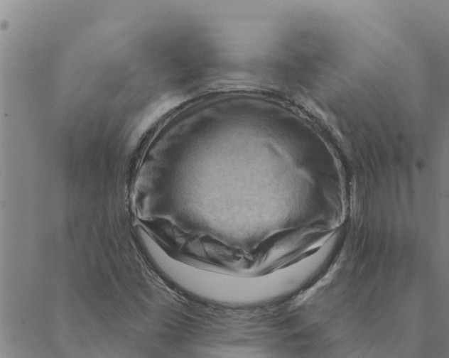 X0000088411453200706191410