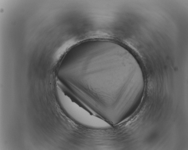 X0000088411455200706191410