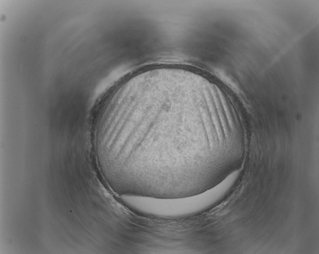 X0000088411456200706191410