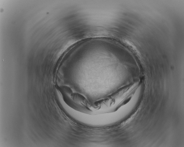 X0000088411457200706191410