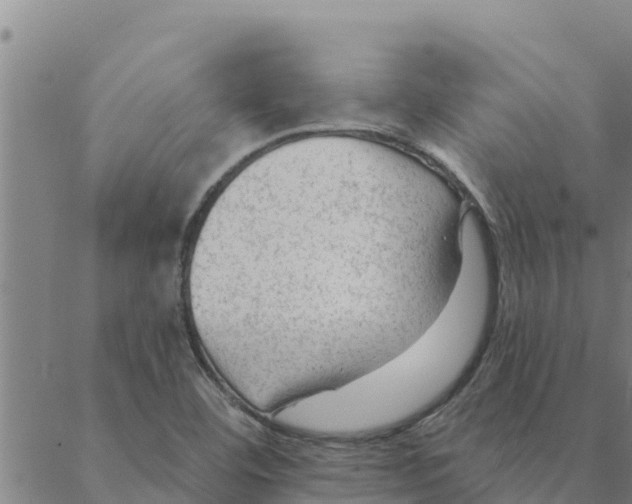 X0000088411460200706191410