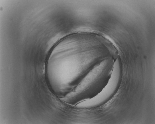 X0000088411461200706191410