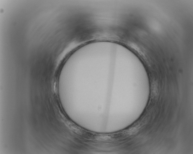 X0000088411462200706191410