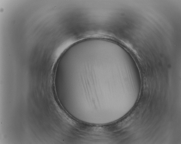 X0000088411463200706191410