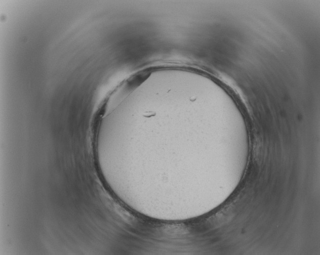 X0000088411464200706191410