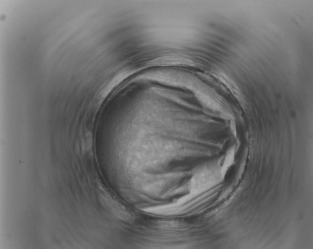 X0000088411465200706191410