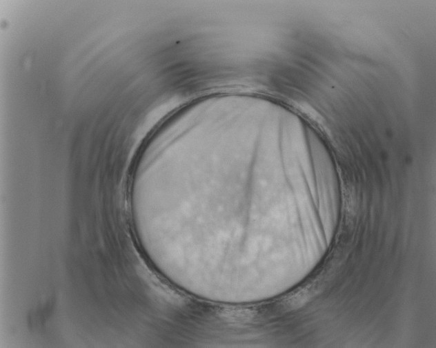 X0000088411466200706191410