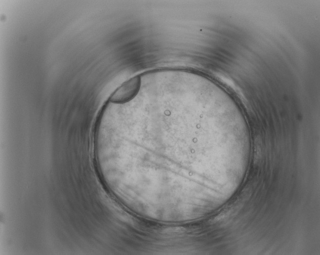 X0000088411467200706191410