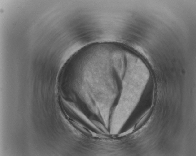 X0000088411469200706191410