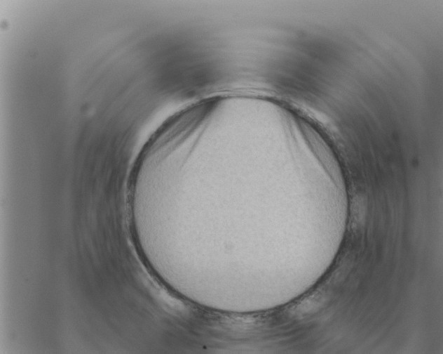 X0000088411470200706191410