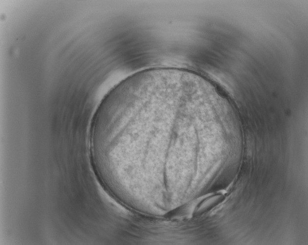 X0000088411471200706191410