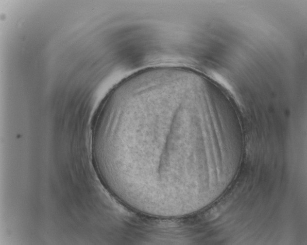 X0000088411472200706191410