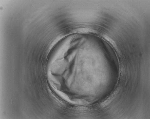 X0000088411473200706191410