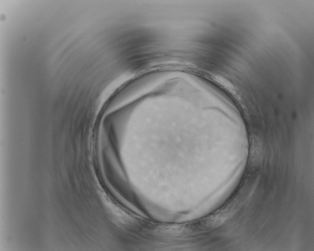 X0000088411474200706191410