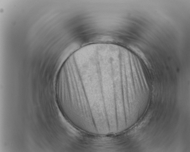 X0000088411475200706191410