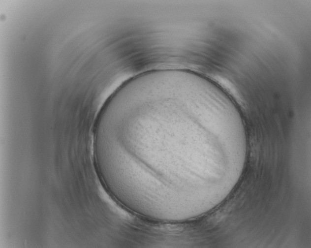 X0000088411476200706191410