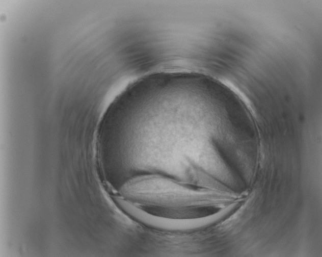 X0000088411477200706191410