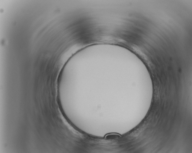 X0000088411479200706191410