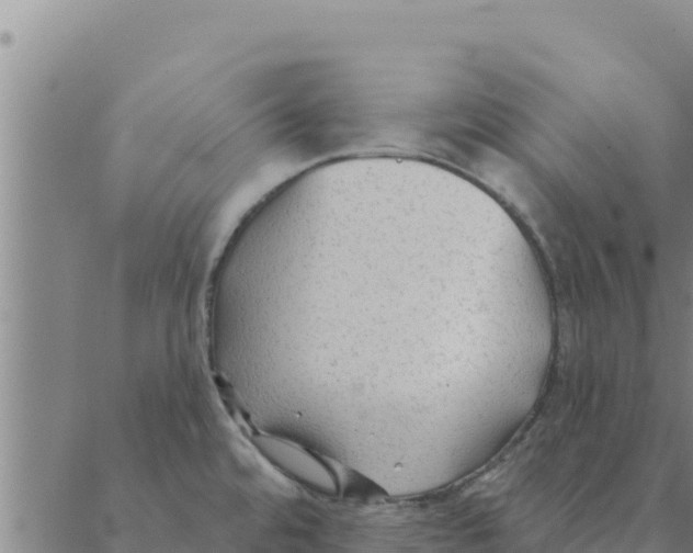 X0000088411480200706191410