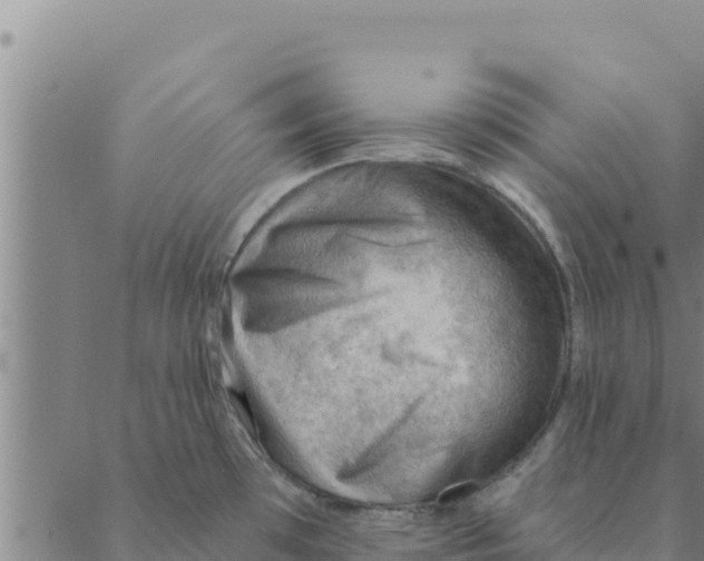 X0000088411481200706191410