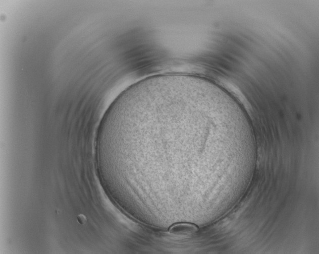 X0000088411483200706191410