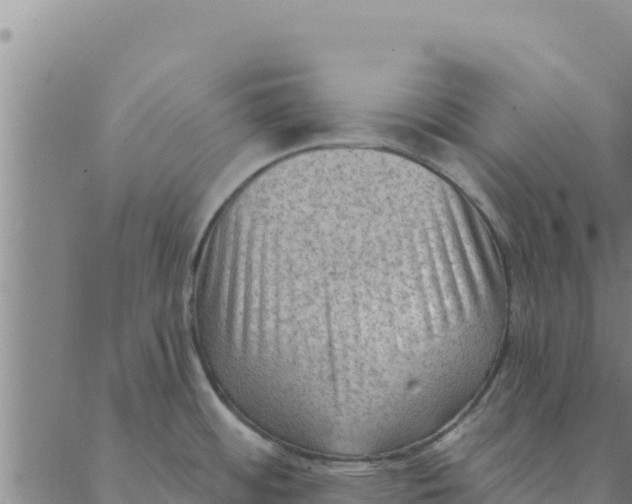 X0000088411484200706191410