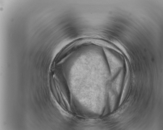 X0000088411485200706191410