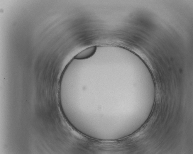 X0000088411486200706191410